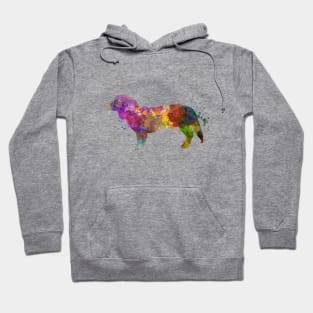 Alpine Dachsbracke  in watercolor Hoodie